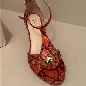 Coach short heel shoe